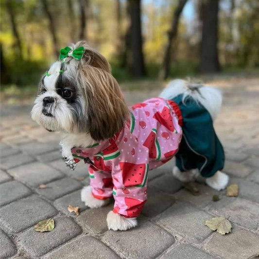 Watermelon Girl Raincoat