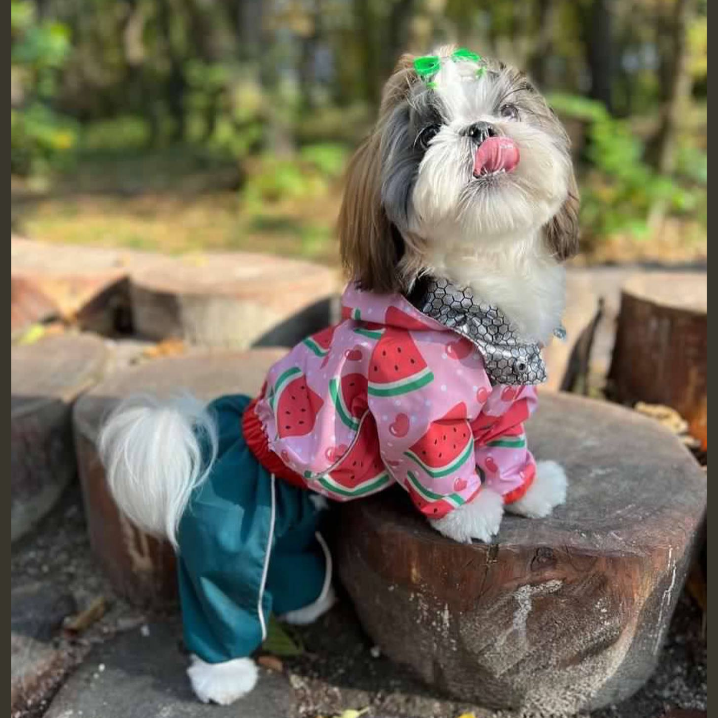 Watermelon Girl Raincoat