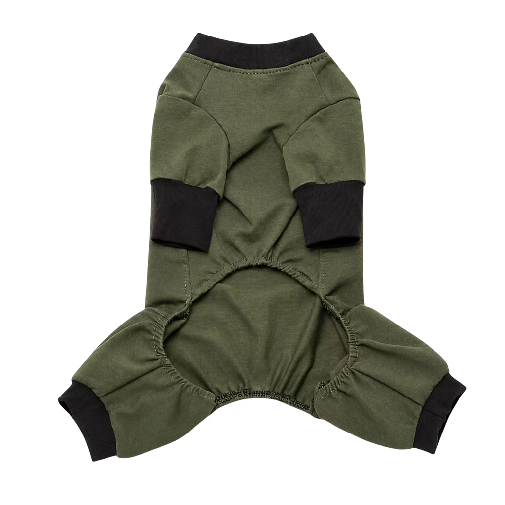 Combinaison douillette en tricot pour chien