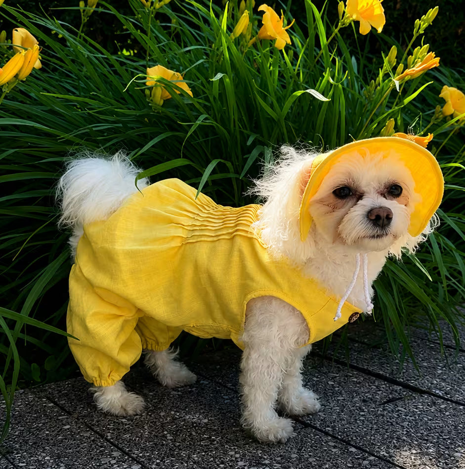Combinaison légère d'été pour chien