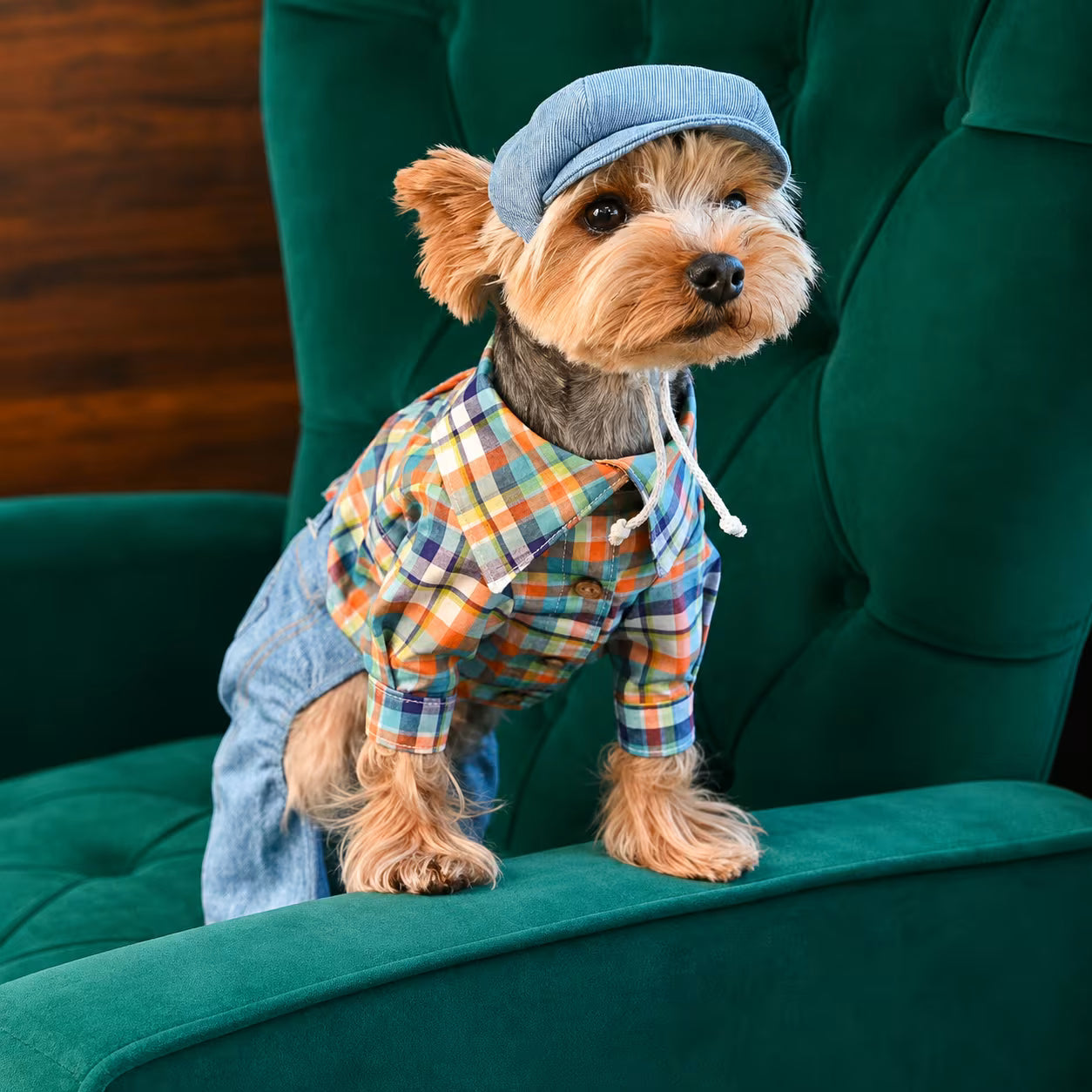 Dog Shirt Italian Poplin