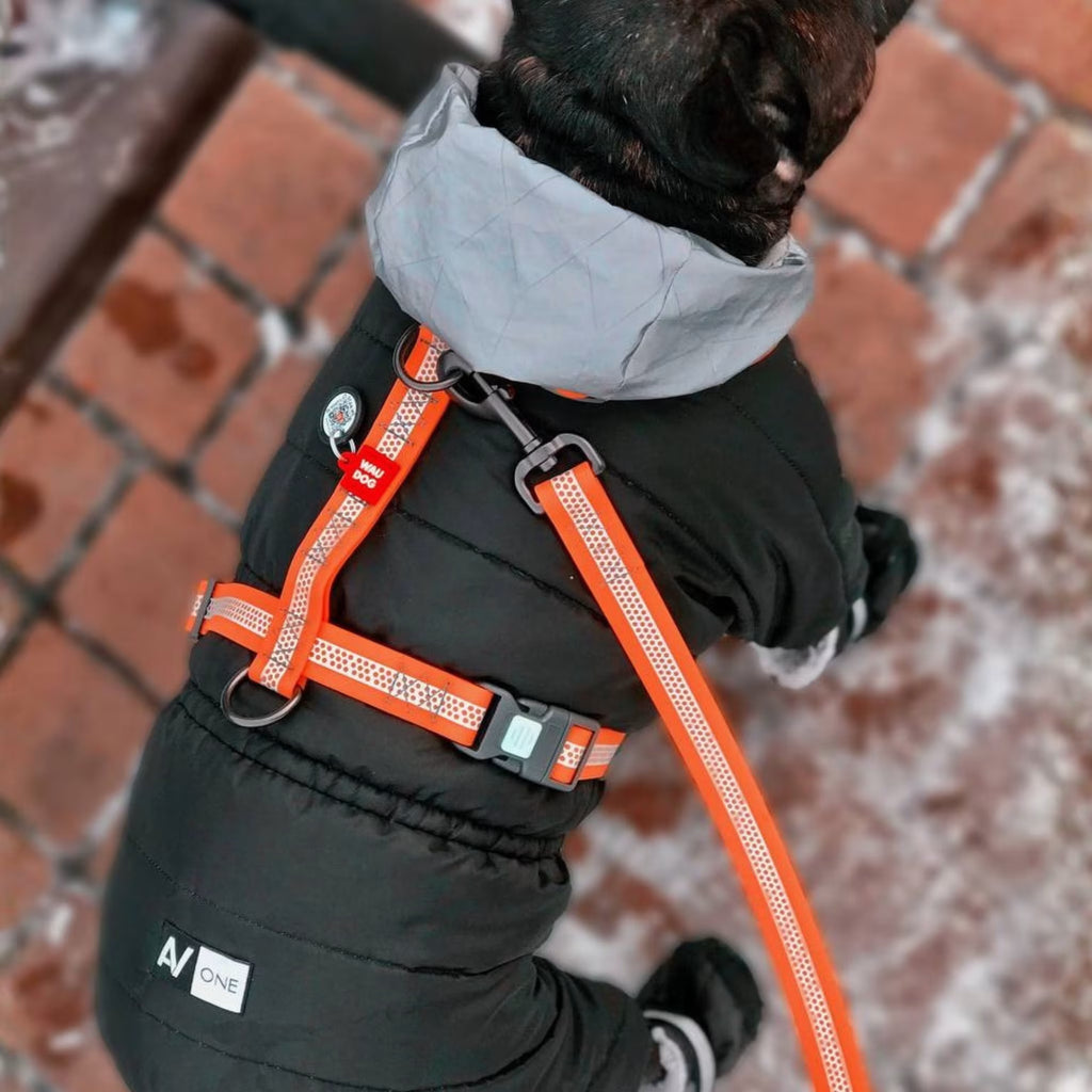 Waterproof Reflective Dog Leash with QR ID Tag