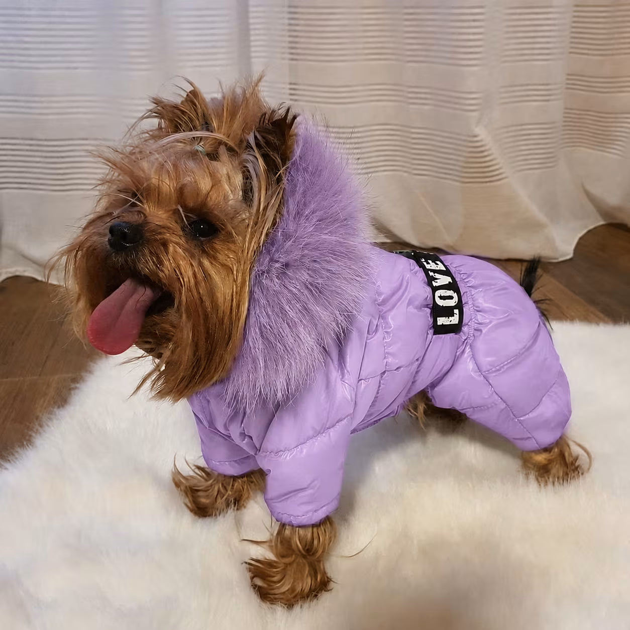 Winter Dog Jumpsuit