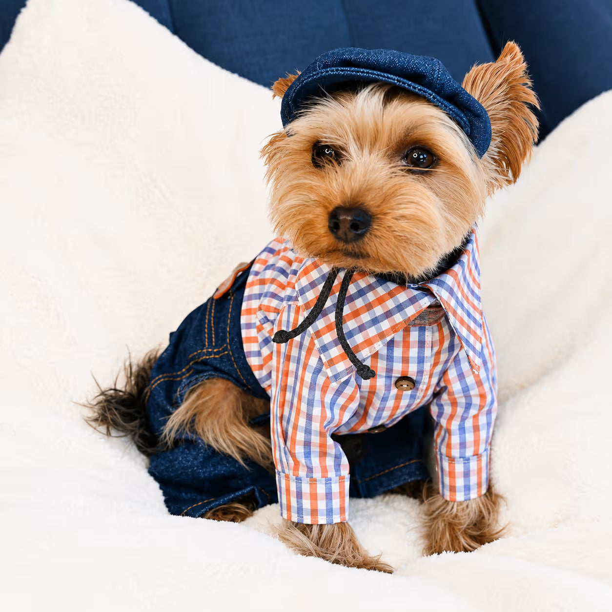 Dog Shirt Italian Poplin