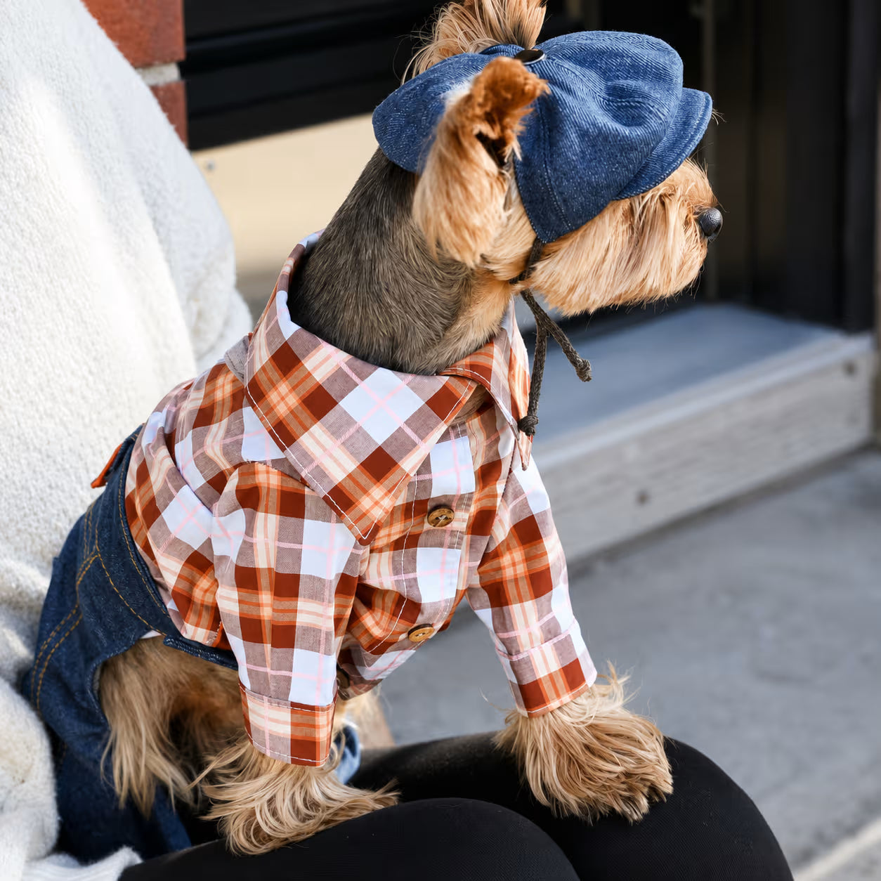 Dog Shirt Italian Poplin