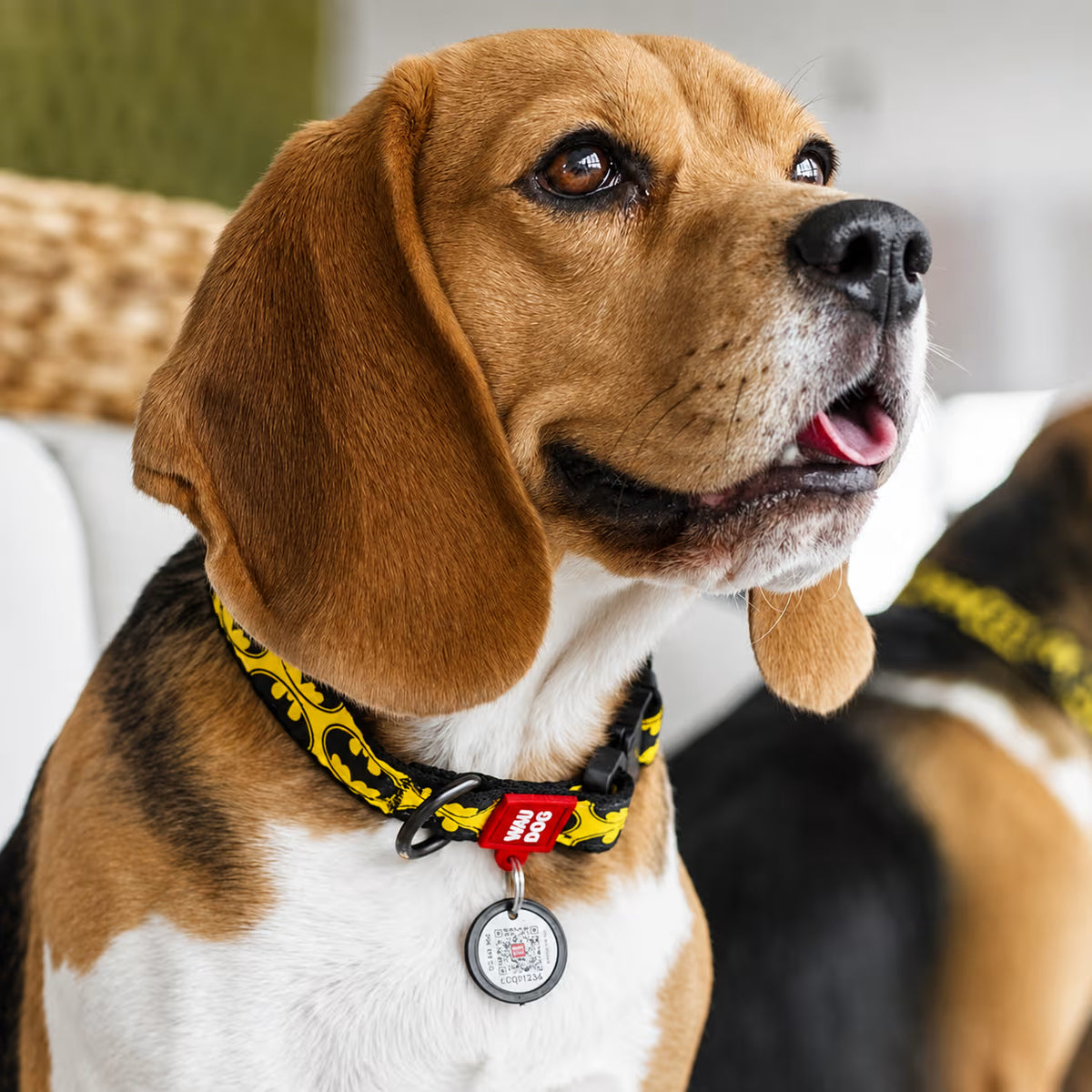 Batman Nylon Dog Collar with Smart QR Tag