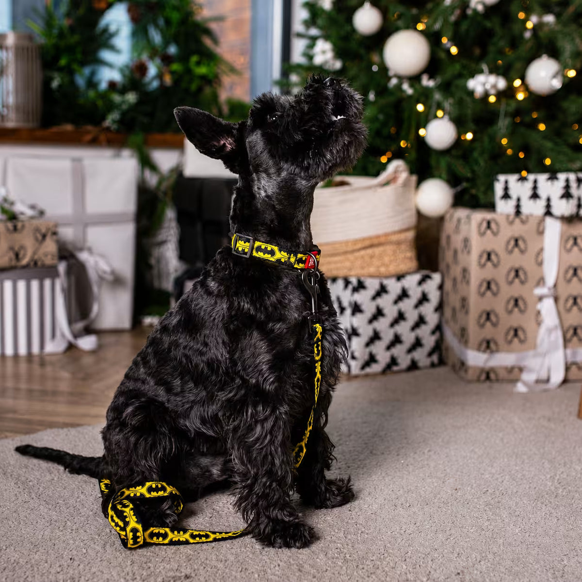 Batman Nylon Dog Collar with Smart QR Tag