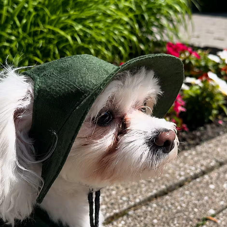 Combinaison légère d'été pour chien
