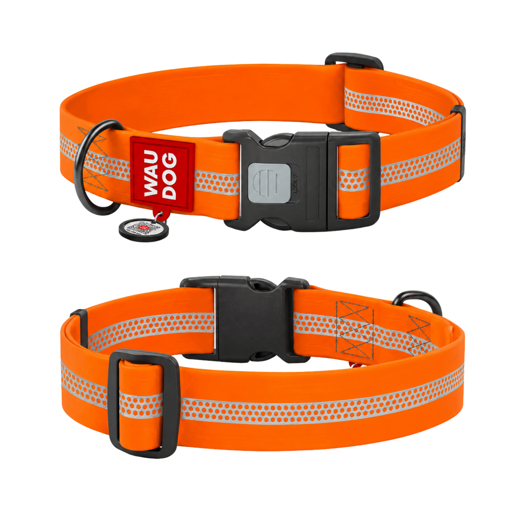 Collier de chien imperméable réfléchissant avec identification QR