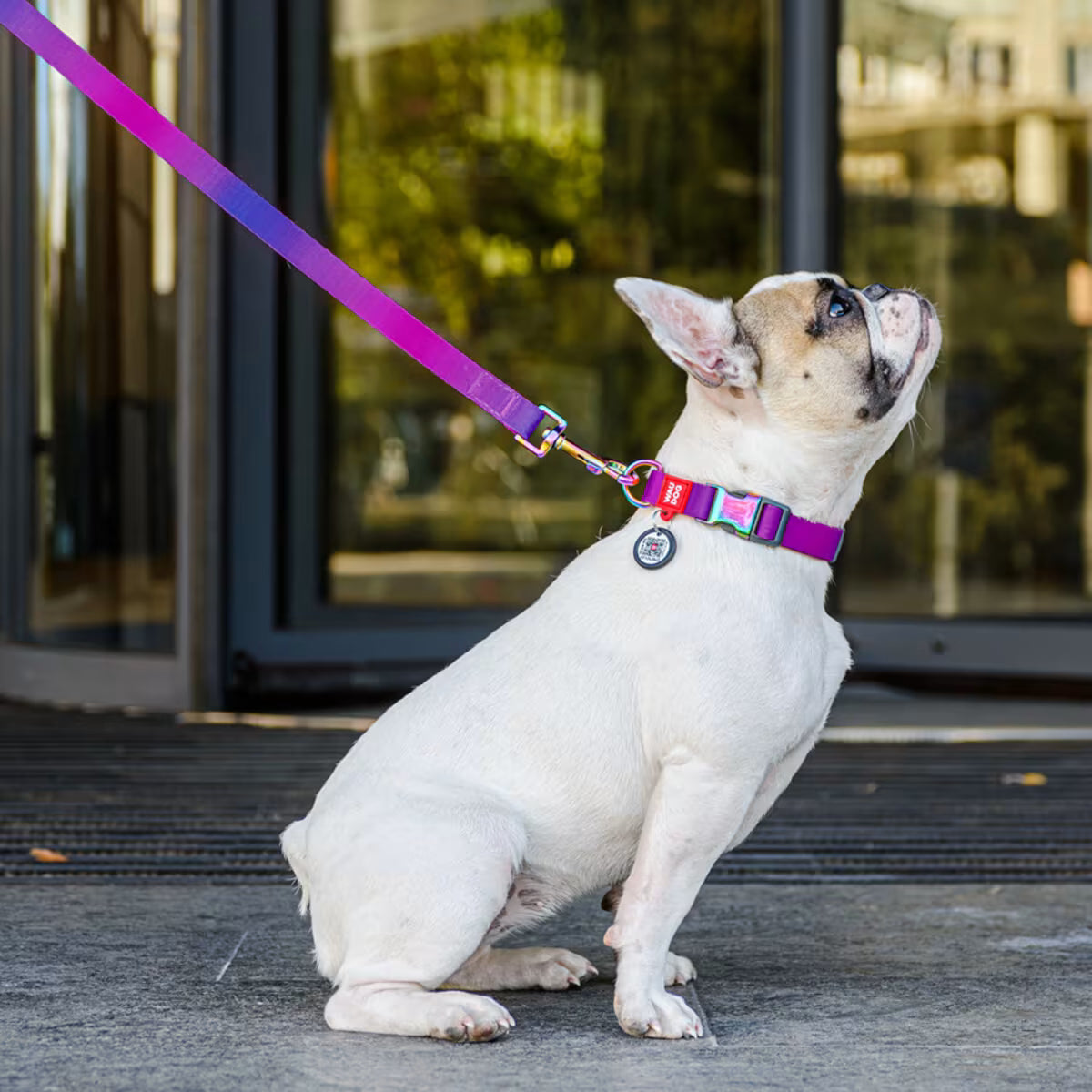 Gradient Eco Recycled Nylon Dog Leash