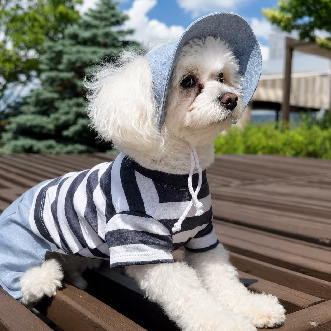 Dog Outfit with Matching Sun Hat