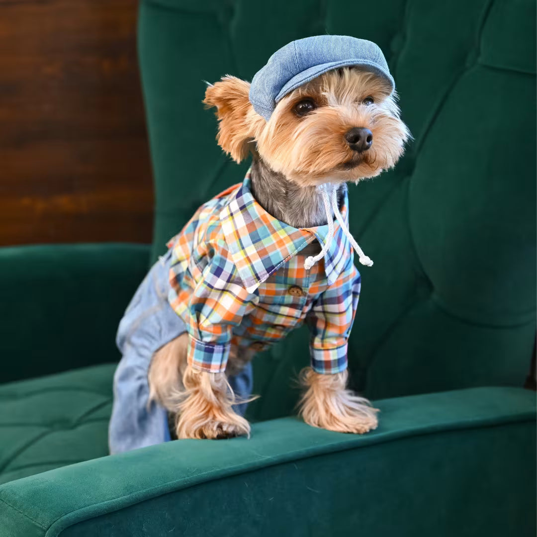 Small Dog Shirt