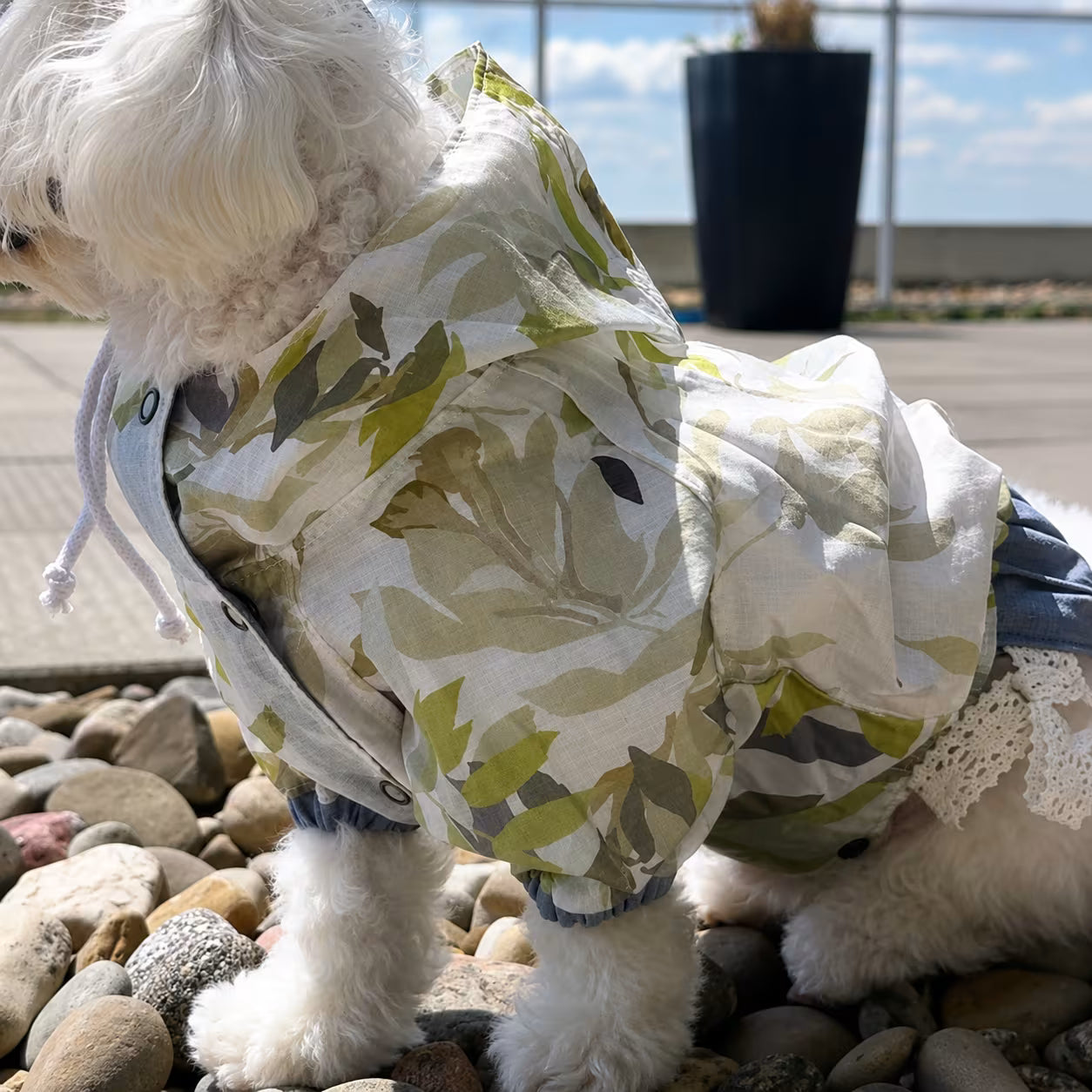 Lightweight Tencel Small Dog Windbreaker