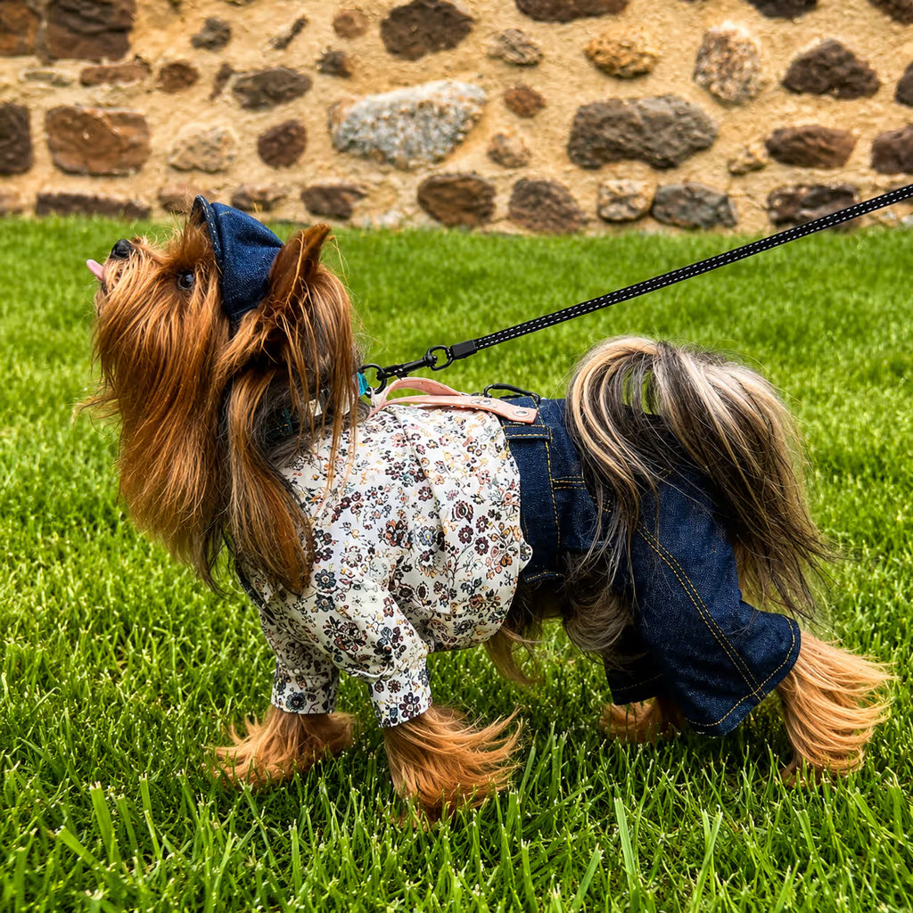Jeans and Cap Denim Set for Small Dogs