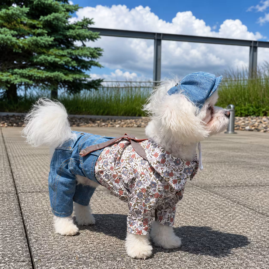 Jeans and Cap Denim Set for Small Dogs