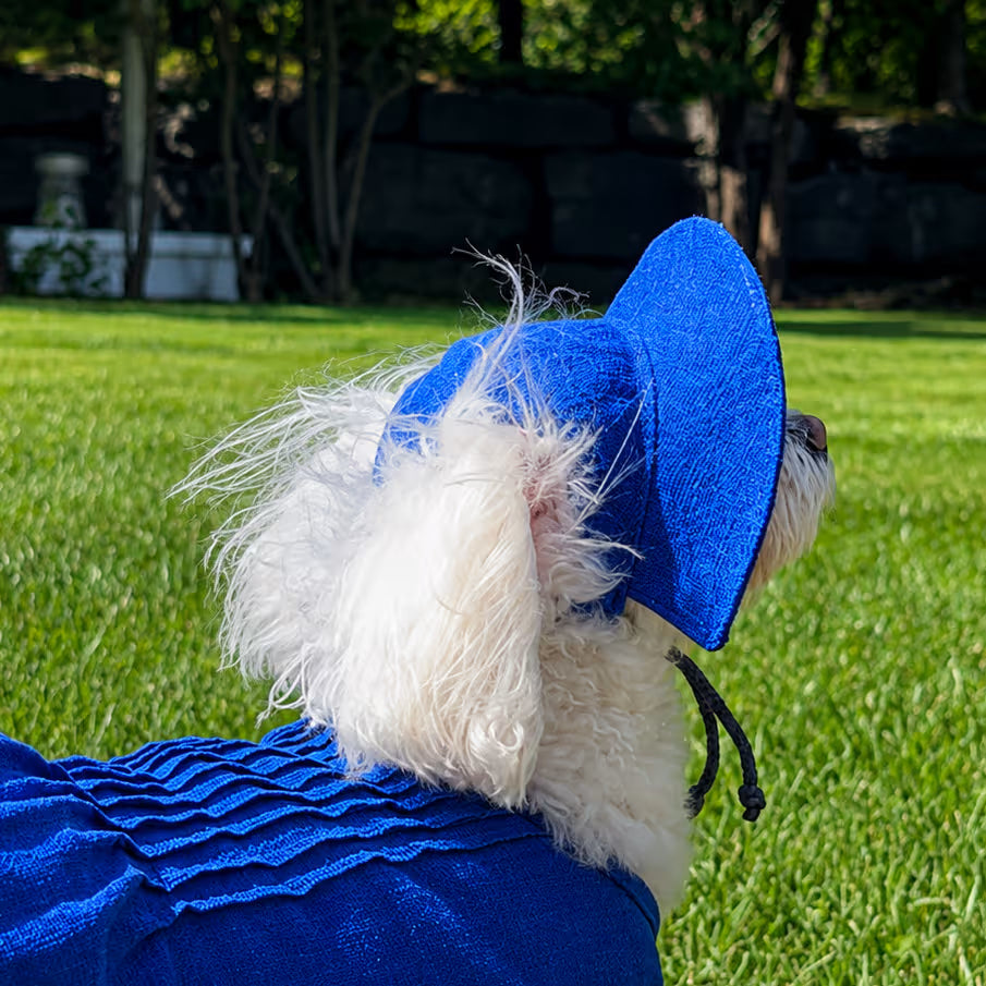 Combinaison légère d'été pour chien