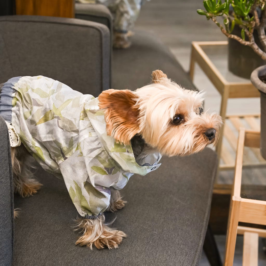 Lightweight Tencel Small Dog Windbreaker