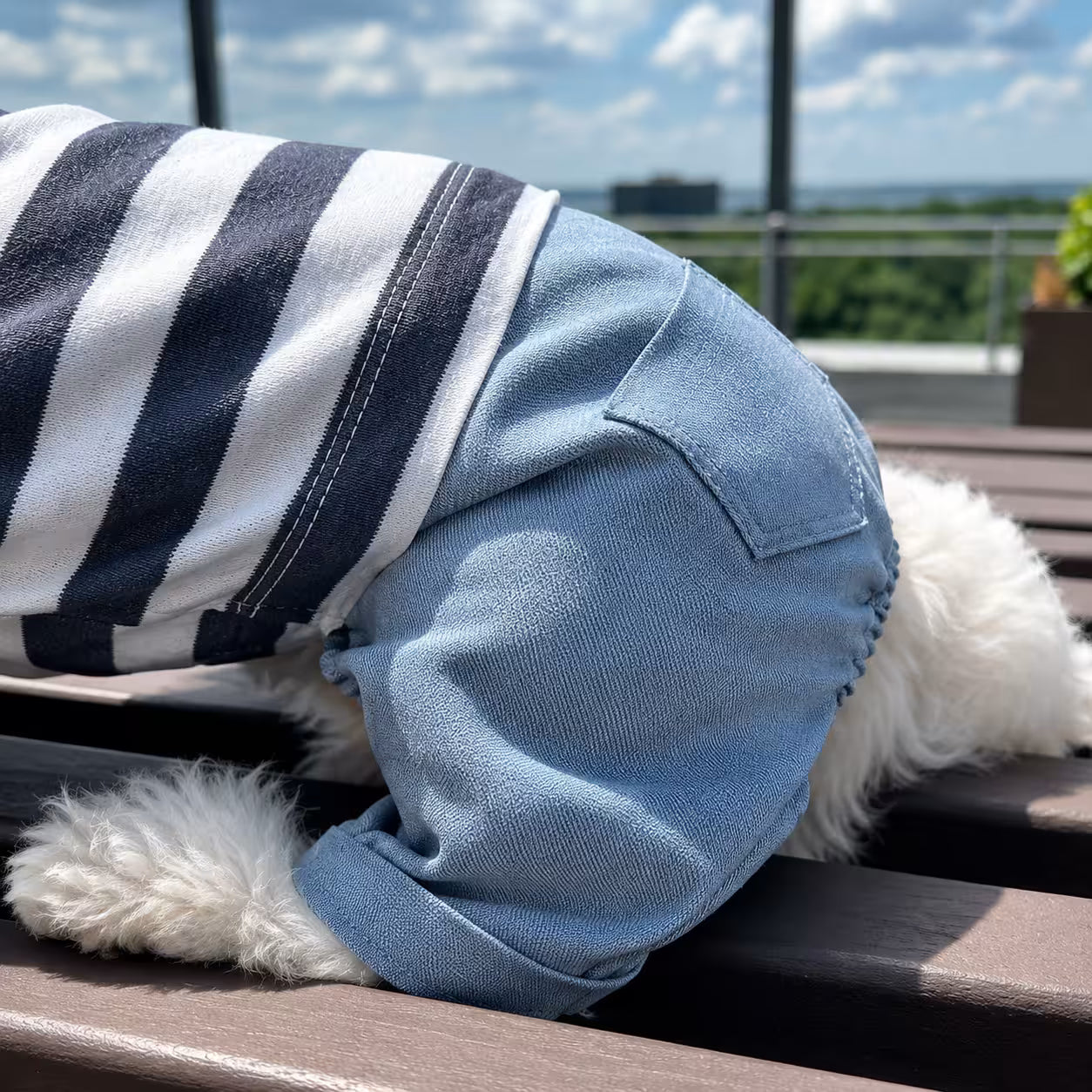 Dog Outfit with Matching Sun Hat