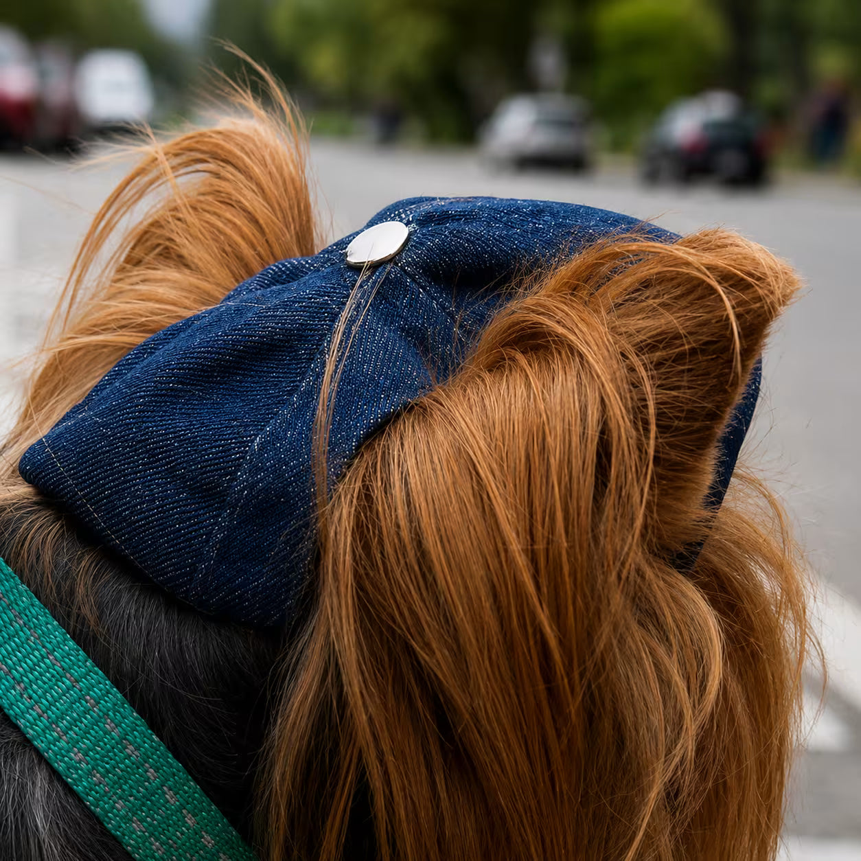 Jeans and Cap Denim Set for Small Dogs