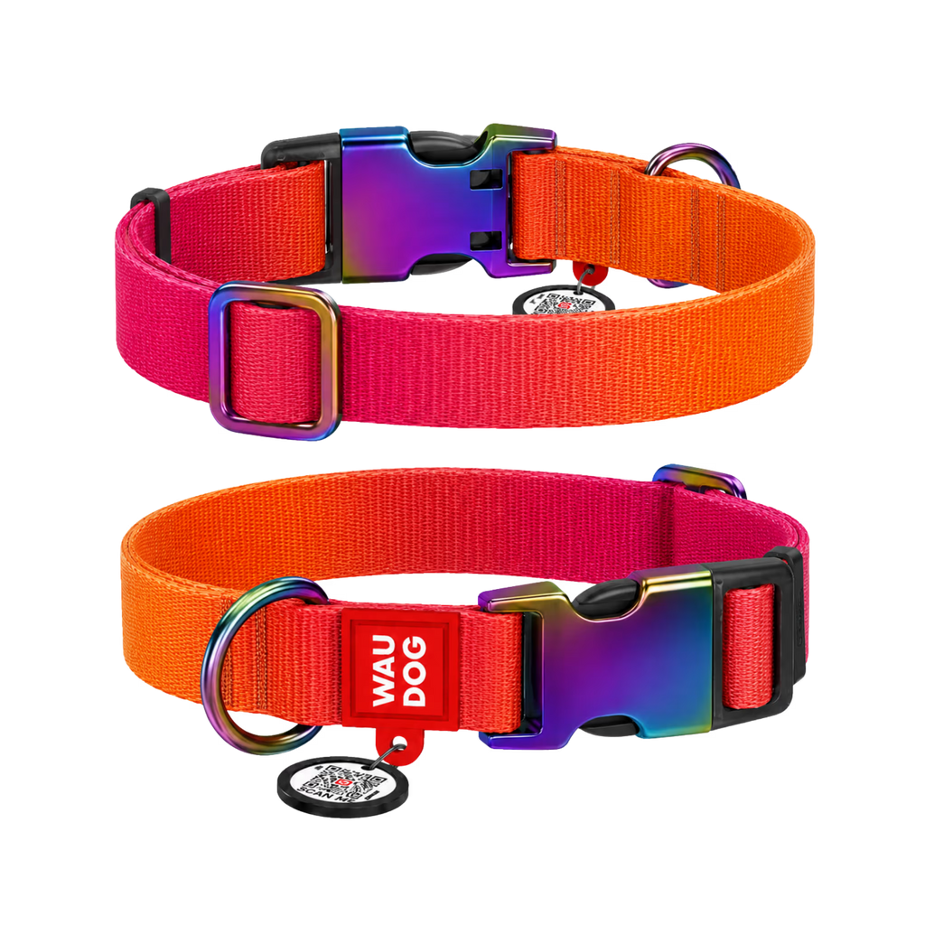 Gradient Recycled Nylon Dog Collar with QR Passport