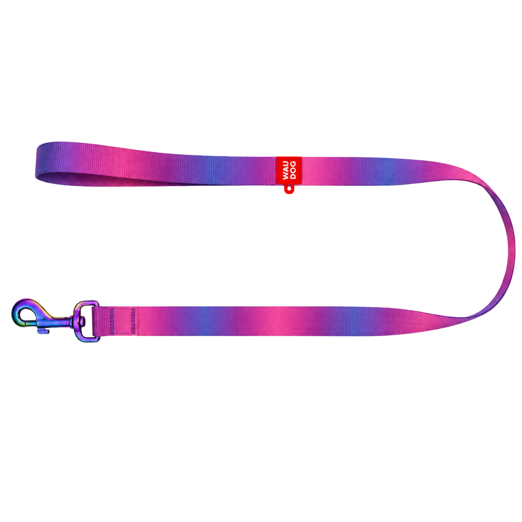 Gradient Eco Recycled Nylon Dog Leash