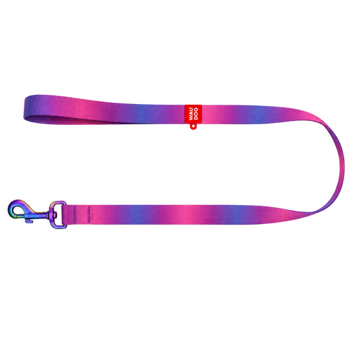 Gradient Eco Recycled Nylon Dog Leash