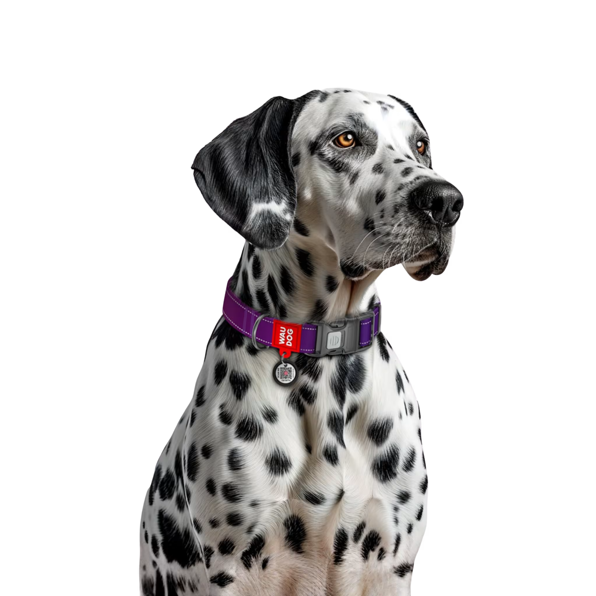 Mono Reflective Dog Collar with QR ID Tag