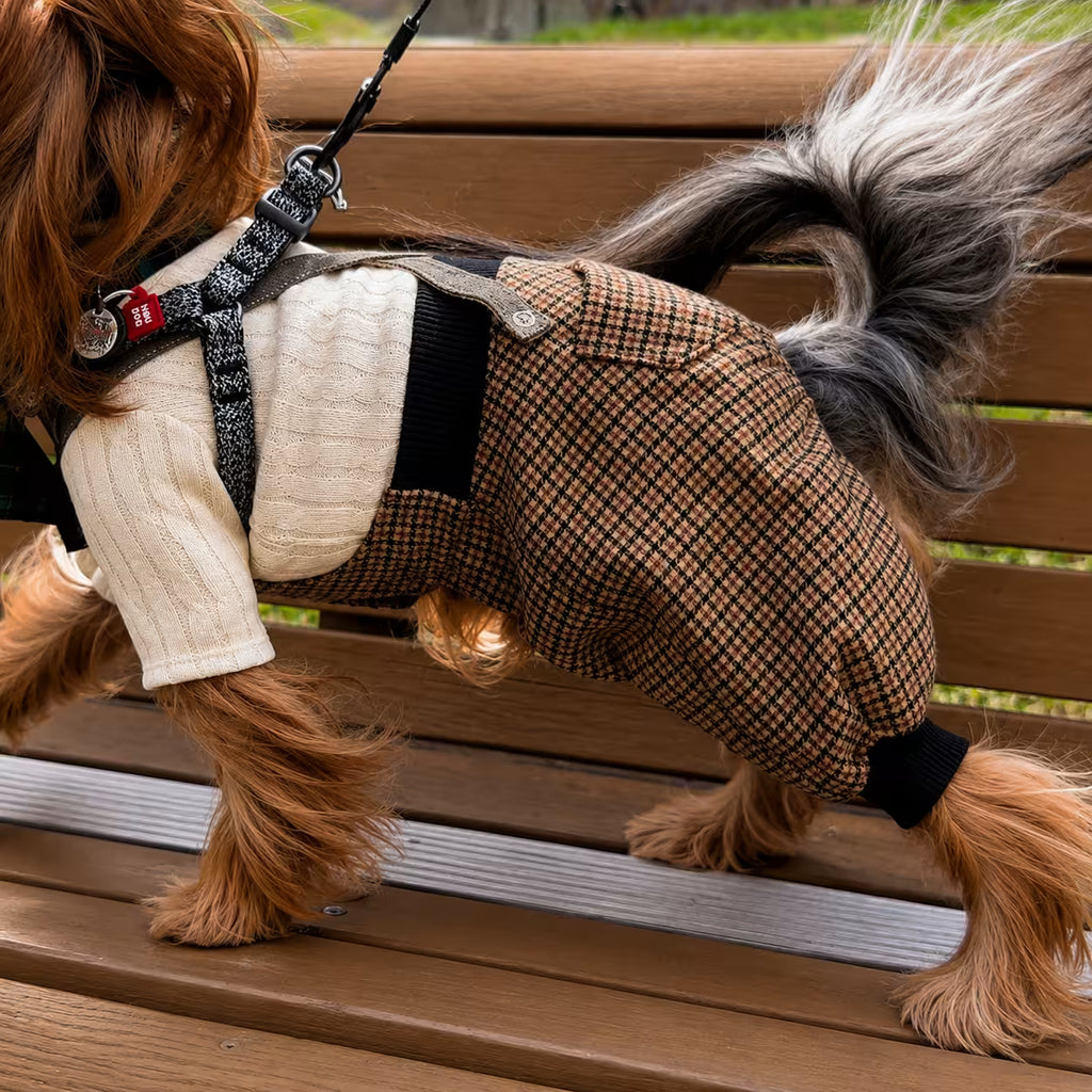 Scotsdog Wool Dog Pants
