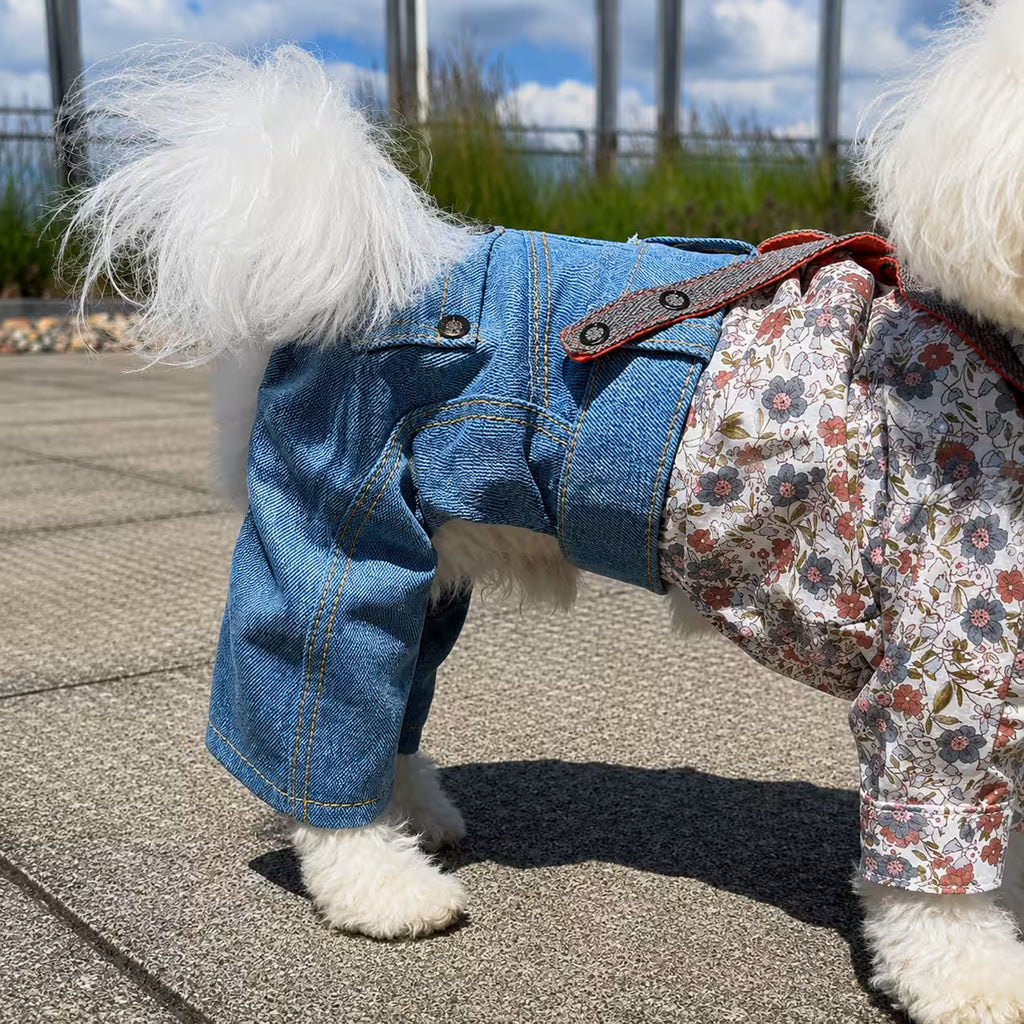 Jeans and Cap Denim Set for Small Dogs