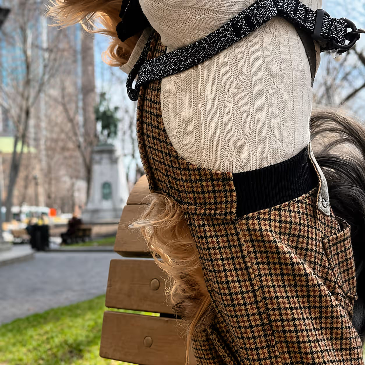 Scotsdog Wool Dog Pants
