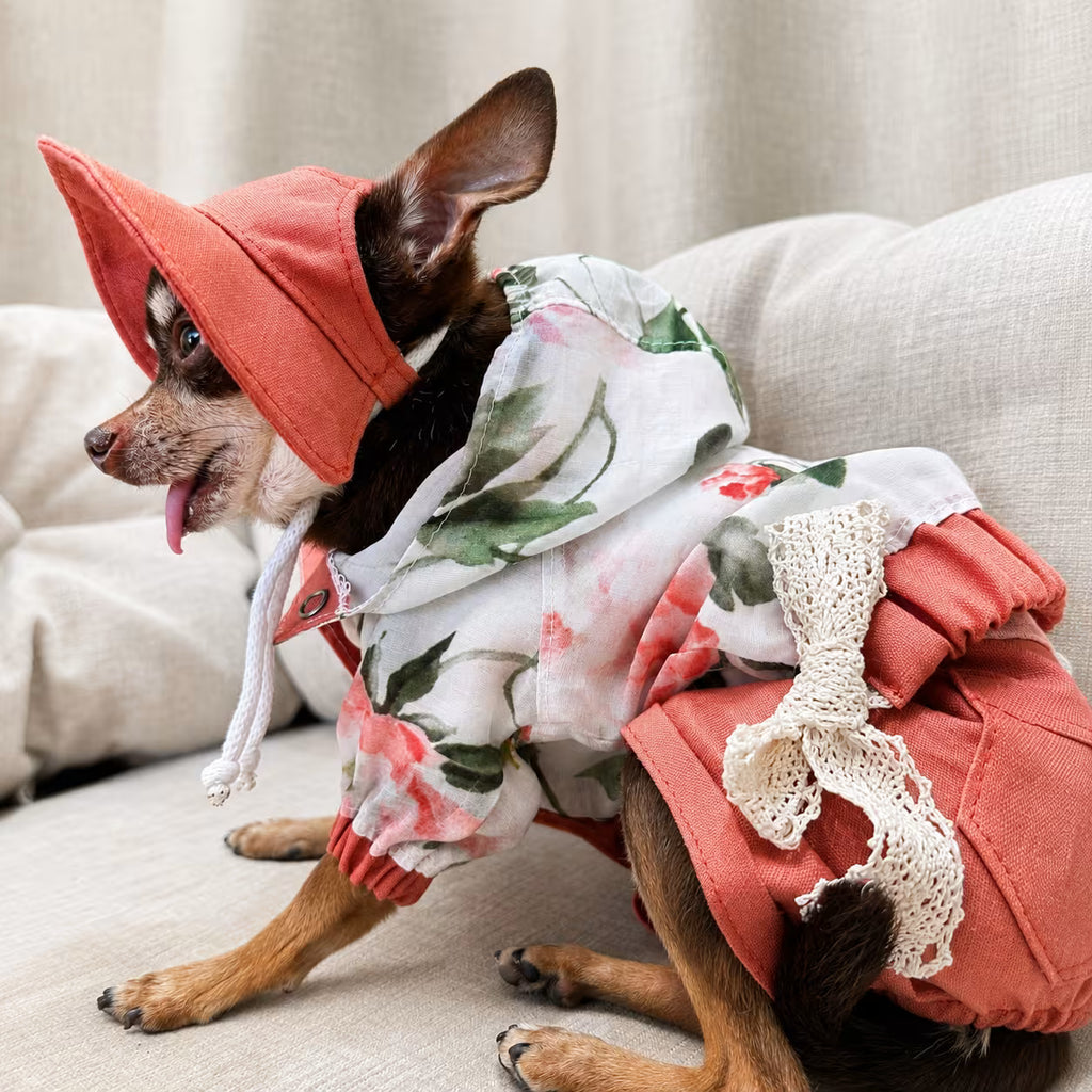 Dog Outfit with Matching Sun Hat