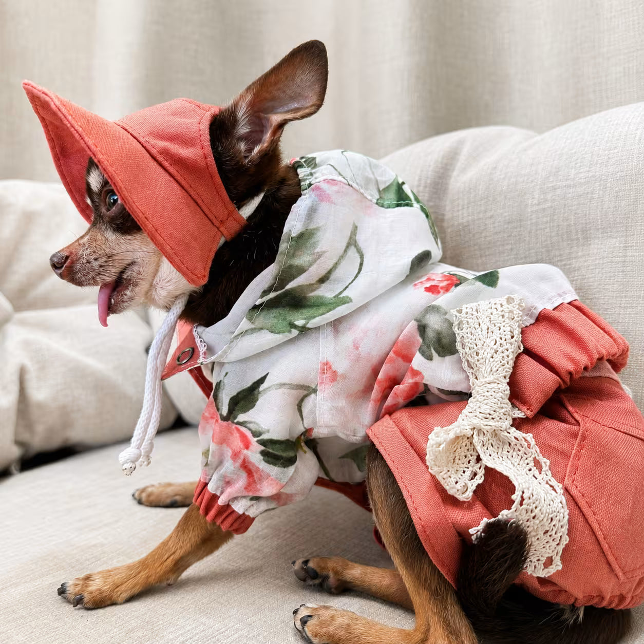 Dog Outfit with Matching Sun Hat