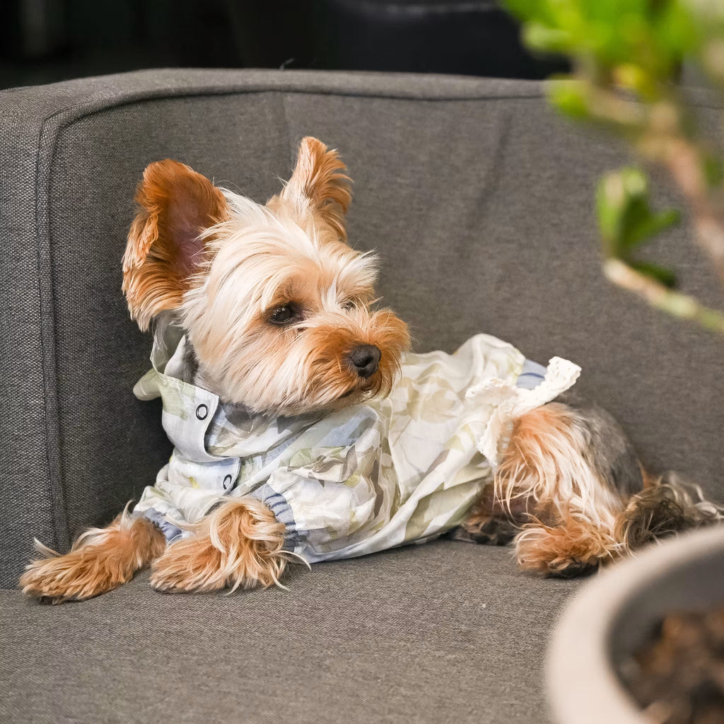 Lightweight Tencel Small Dog Windbreaker