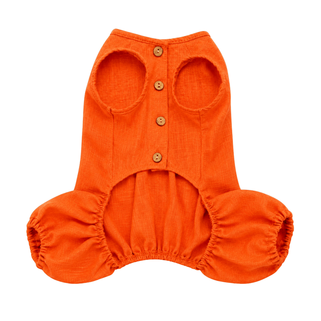 Combinaison légère d'été pour chien