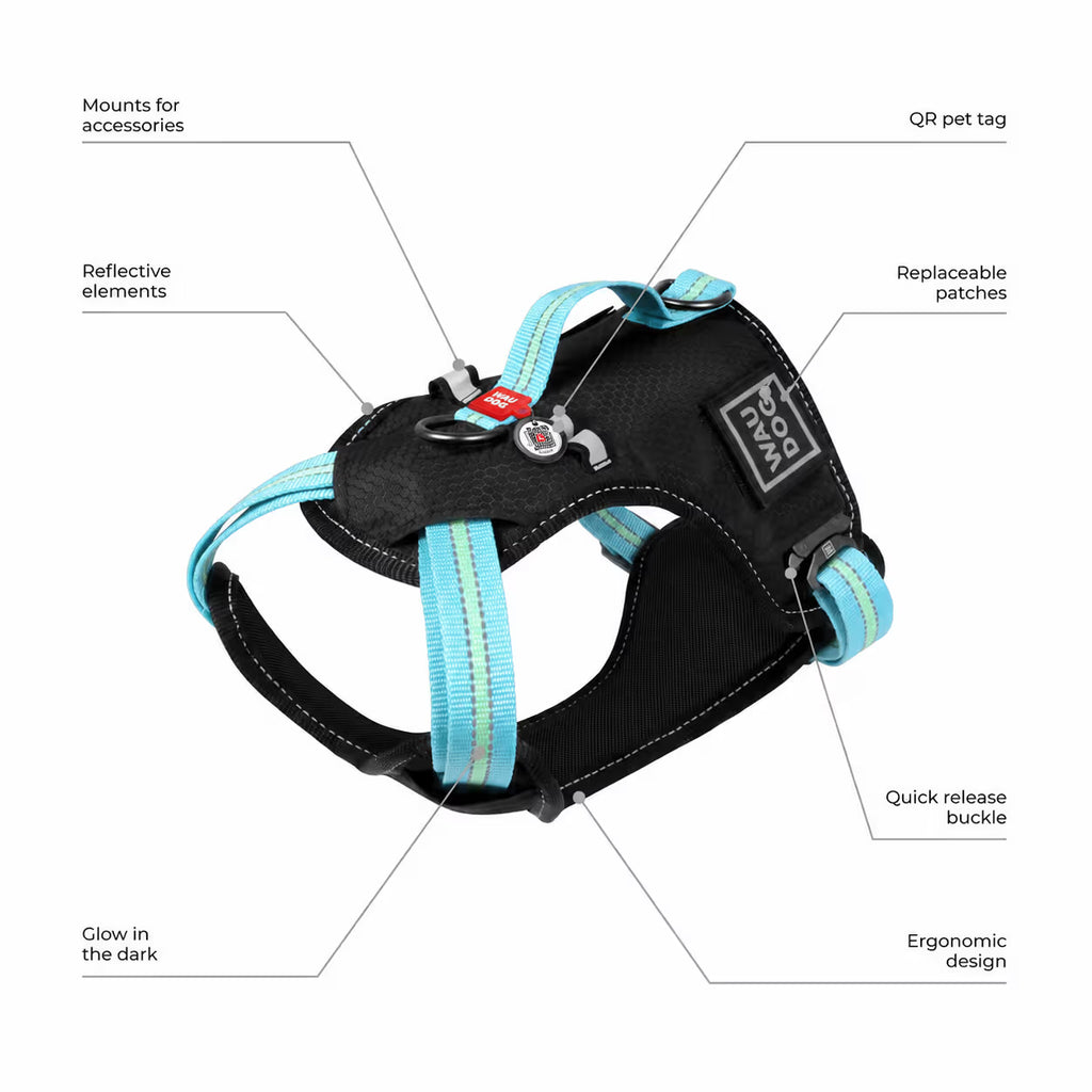 Safe Ergonomic Dog Harness with QR ID Tag