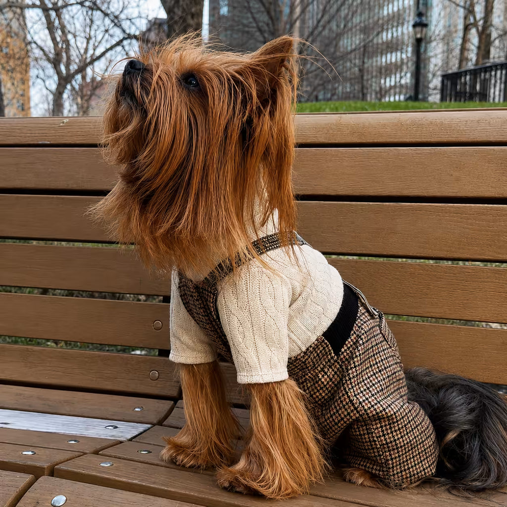 Jersey Knit Dog Sweater Archie