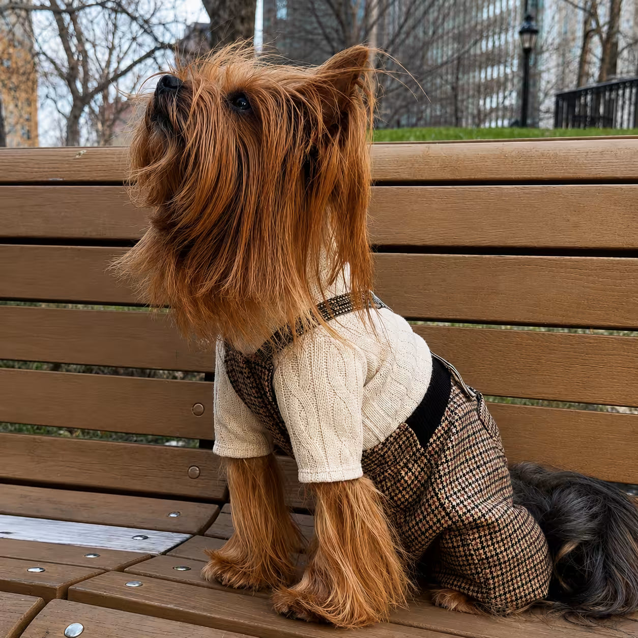 Jersey Knit Dog Sweater Archie