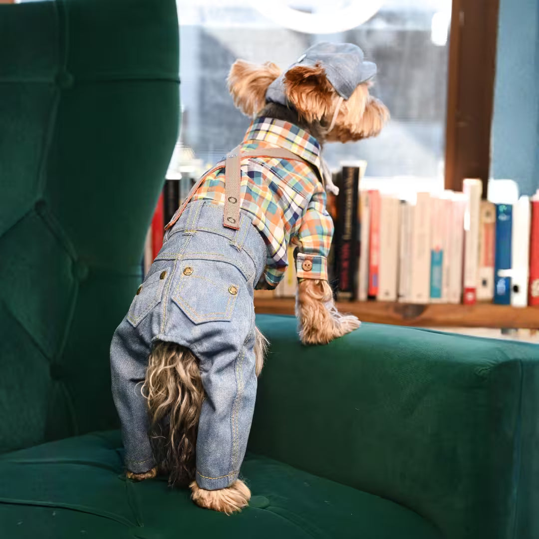 Jeans and Cap Denim Set for Small Dogs