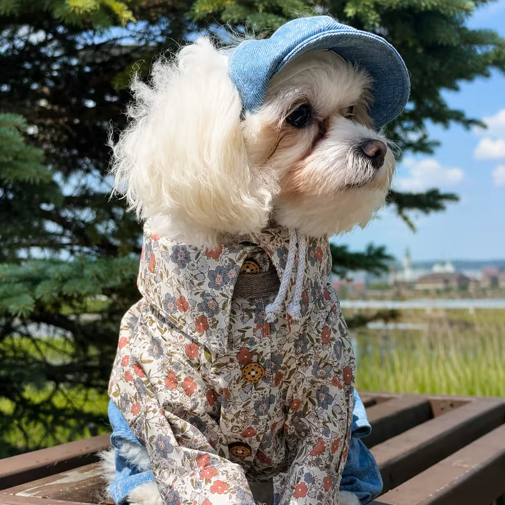 Dog Shirt Italian Poplin
