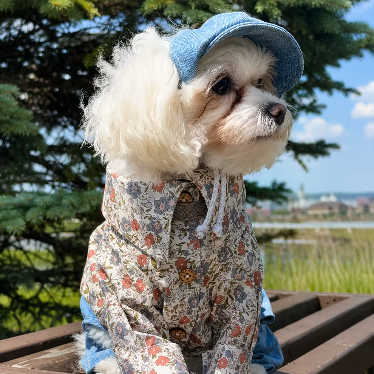 Dog Shirt Italian Poplin