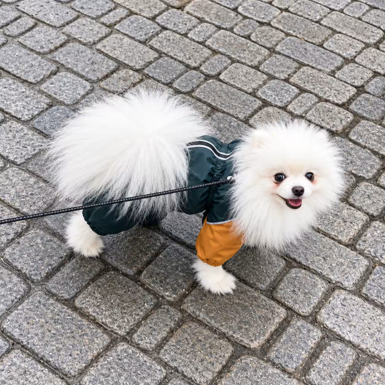 Waterproof Dog Raincoat for Pomeranians