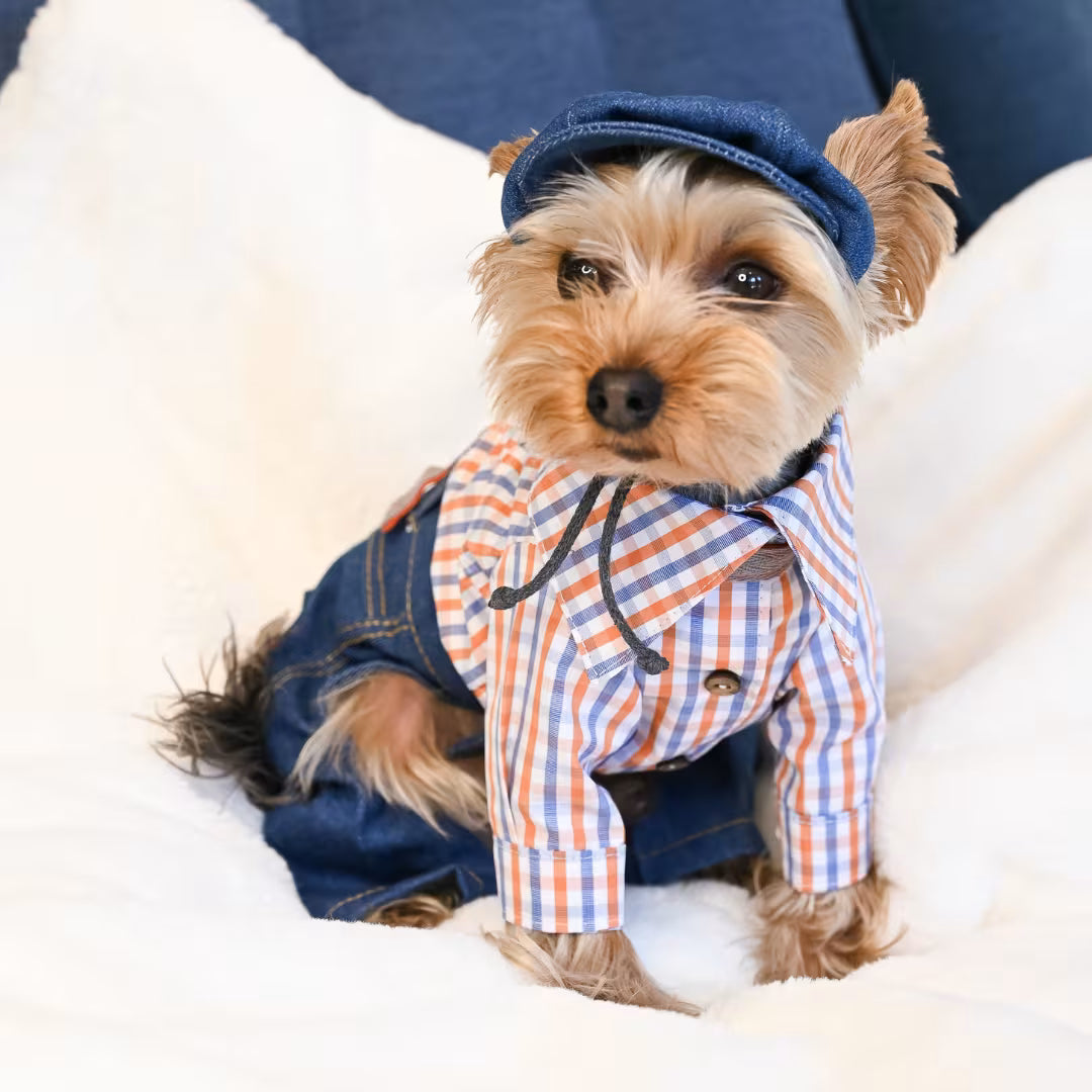 Small Dog Shirt