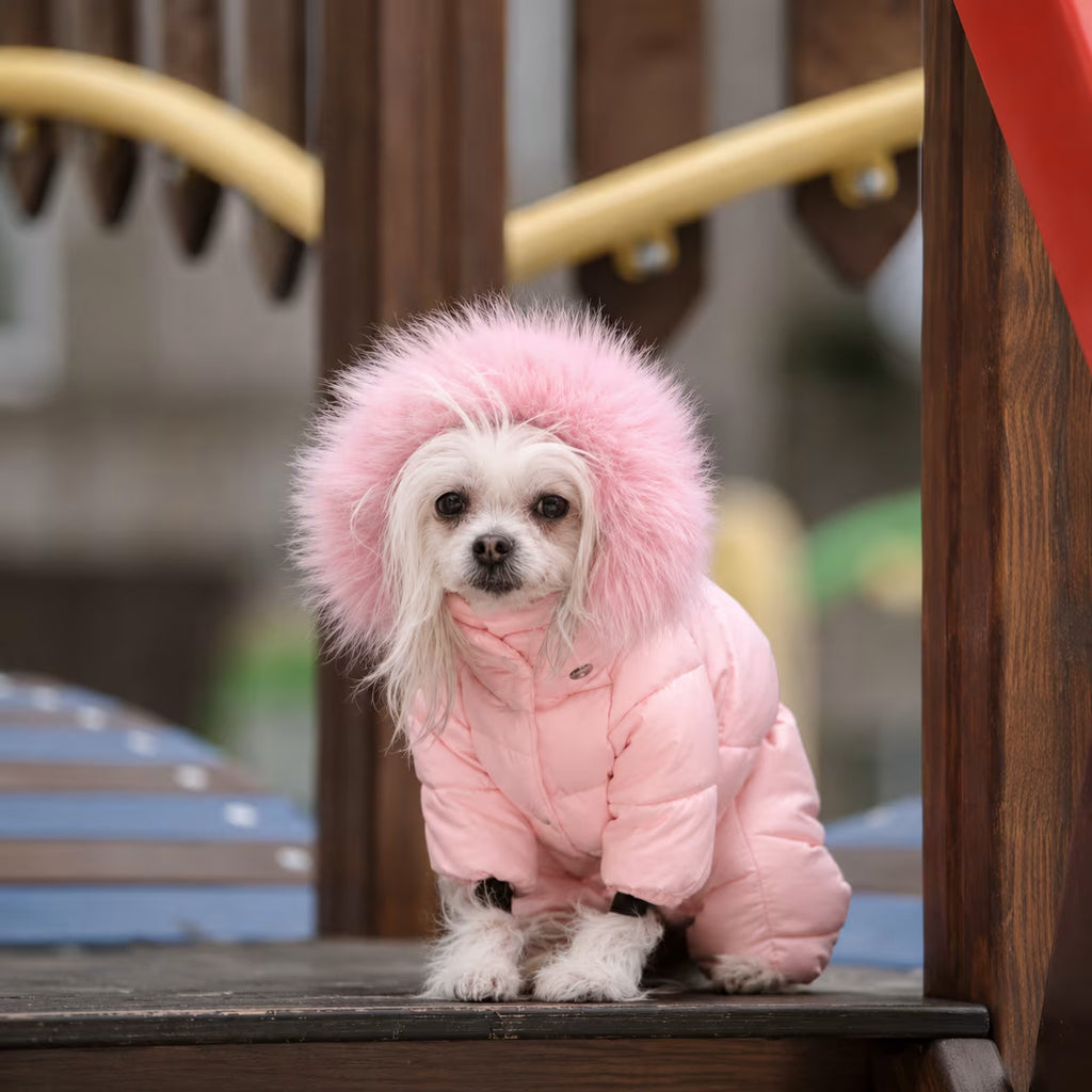 Winter Dog Jumpsuit