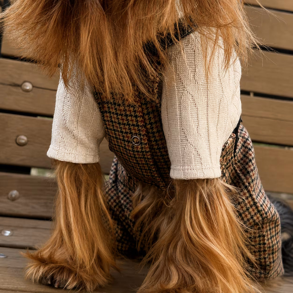Jersey Knit Dog Sweater Archie