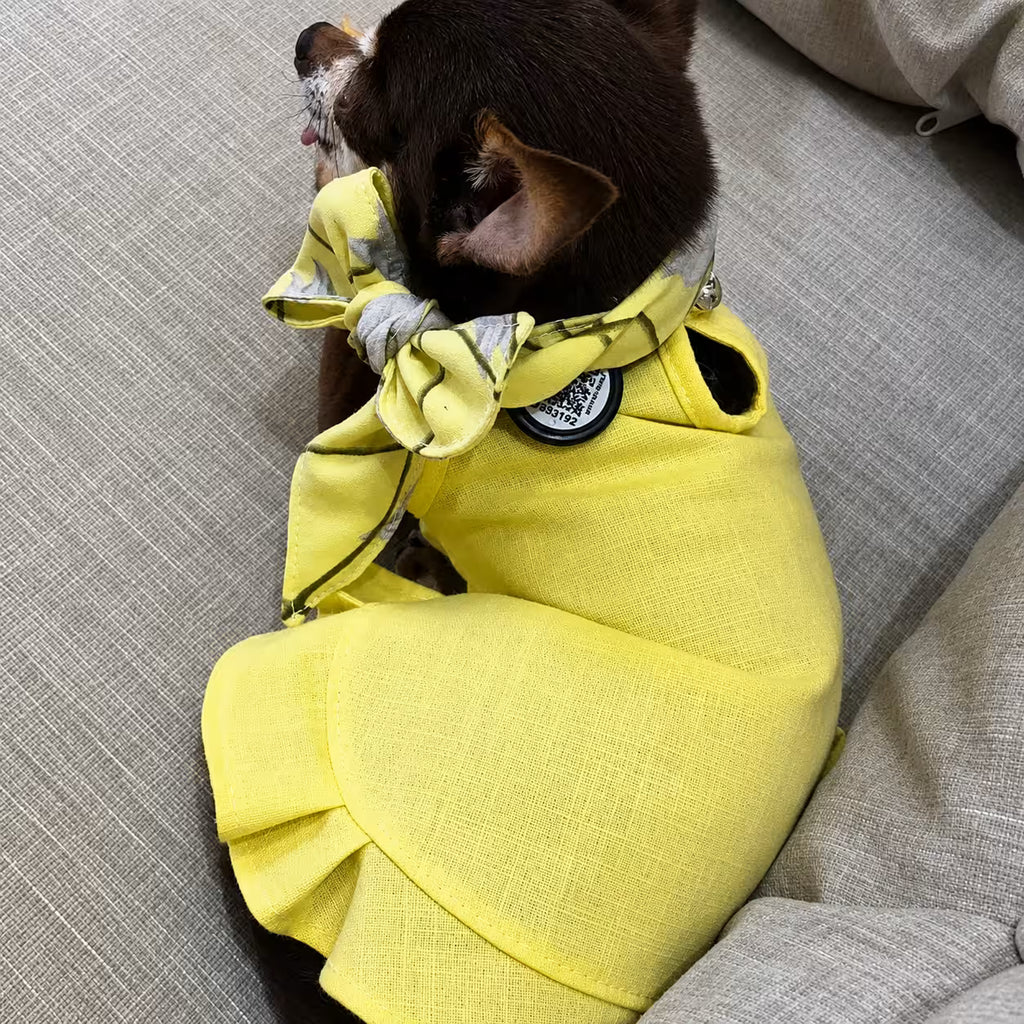 Designer Dog Bandana
