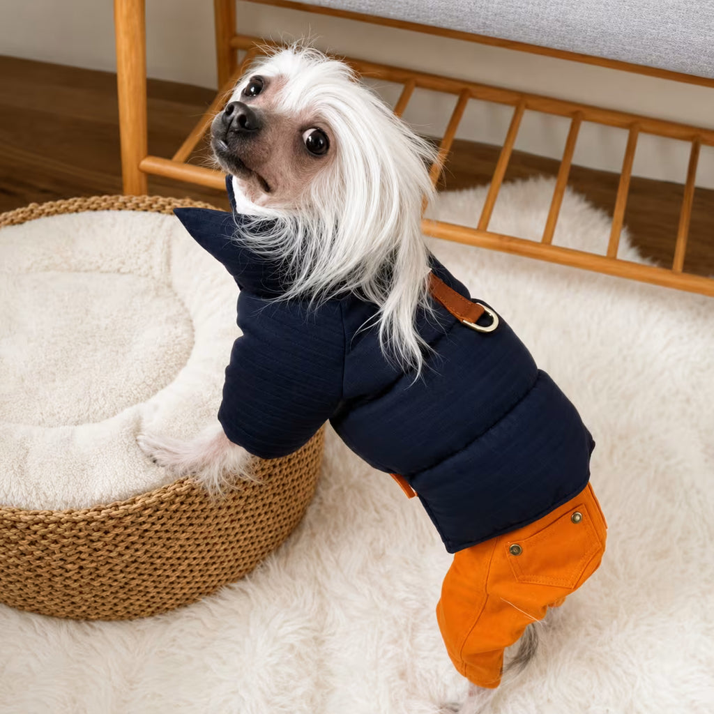 Bristol Dog Jacket