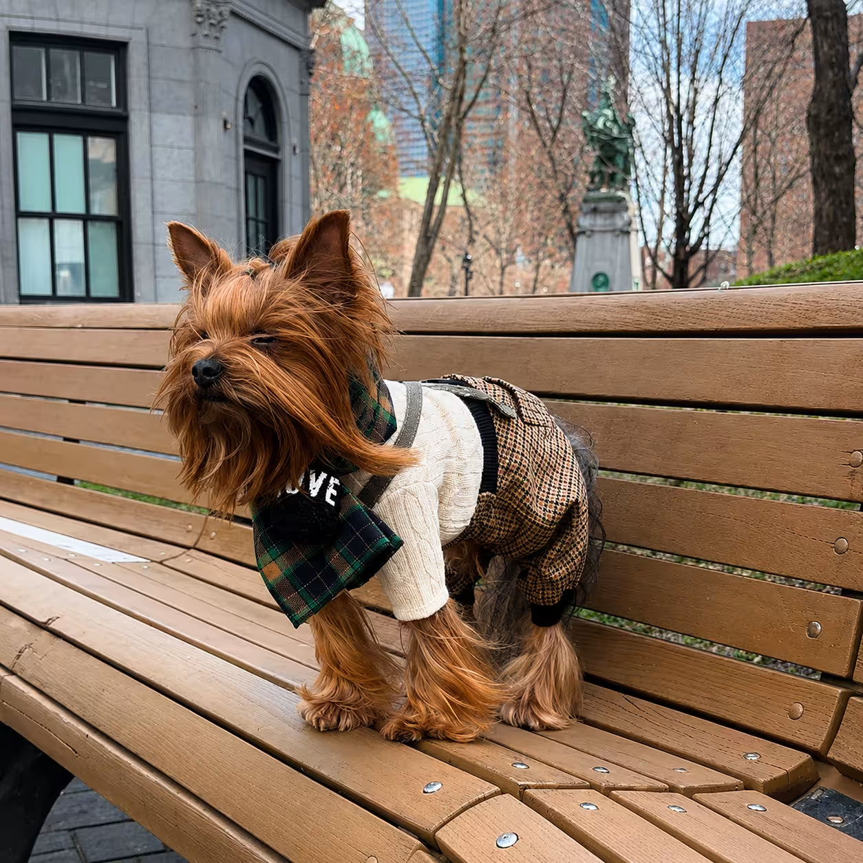 Jersey Knit Dog Sweater Archie