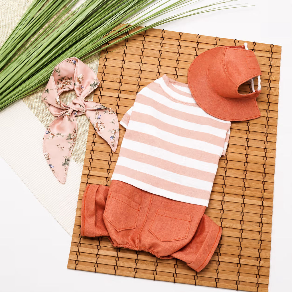 Dog Outfit with Matching Sun Hat