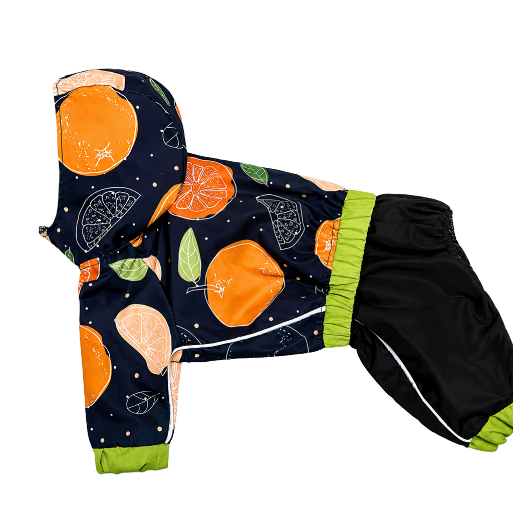 Waterproof Dog Raincoat for All-Weather Walks