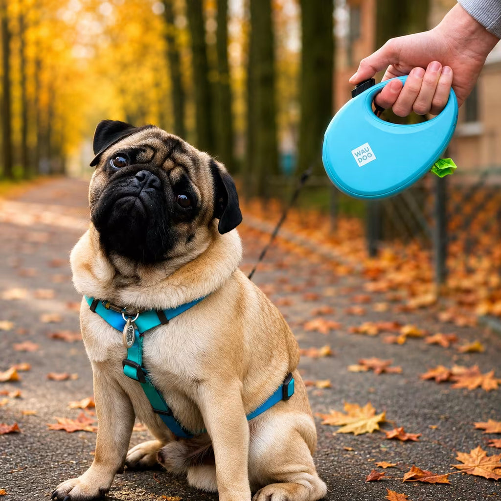 R-Leash Retractable Dog Leash – Reflective, Tangle-Free & Easy One-Hand Control
